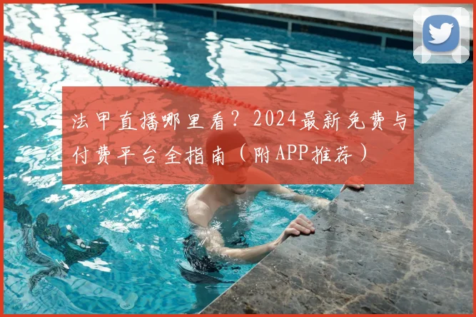 法甲直播哪里看?2024最新免费与付费平台全指南(附APP推荐)